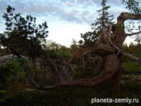 Обучение и сеансы можно проходить очно и дистанционно.....